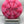 Discraft Focus - Ricky Wysocki x Adam Hammes Swirl CT Focus