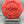Discraft Focus - Ricky Wysocki x Adam Hammes Swirl CT Focus