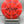 Discraft Focus - Ricky Wysocki x Adam Hammes Swirl CT Focus