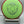 Axiom Crave - Fission - Nailed It Disc Golf