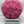 Discraft Focus - Ricky Wysocki x Adam Hammes Swirl CT Focus