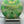 Discraft Focus - Anthony Barela Swirl CT Focus - Nailed It Disc Golf