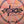 Discraft Focus - Ricky Wysocki x Adam Hammes Swirl CT Focus