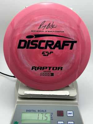 Discraft Raptor - ESP - Nailed It Disc Golf