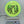 Wilderness Series Lemurgency - Neutron Time-Lapse - Green/Gold Stamp - Nailed It Disc Golf