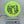 Wilderness Series Lemurgency - Neutron Time-Lapse - Green/Gold Stamp - Nailed It Disc Golf