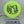 Wilderness Series Lemurgency - Neutron Time-Lapse - Green/Gold Stamp - Nailed It Disc Golf