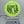 Wilderness Series Lemurgency - Neutron Time-Lapse - Green/Gold Stamp - Nailed It Disc Golf