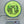 Wilderness Series Lemurgency - Neutron Time-Lapse - Green/Gold Stamp - Nailed It Disc Golf