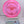 Discraft Buzzz SS - Z Line - Nailed It Disc Golf