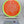 Axiom Panic - Neutron - Nailed It Disc Golf