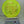 Discraft Anax - Z Lite - Nailed It Disc Golf