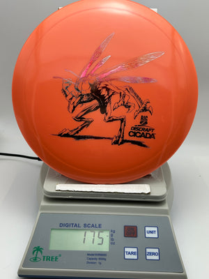 Discraft Cicada - Big Z - Nailed It Disc Golf